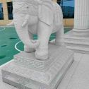 南平 白麻花岗岩动物异形石雕-大象
