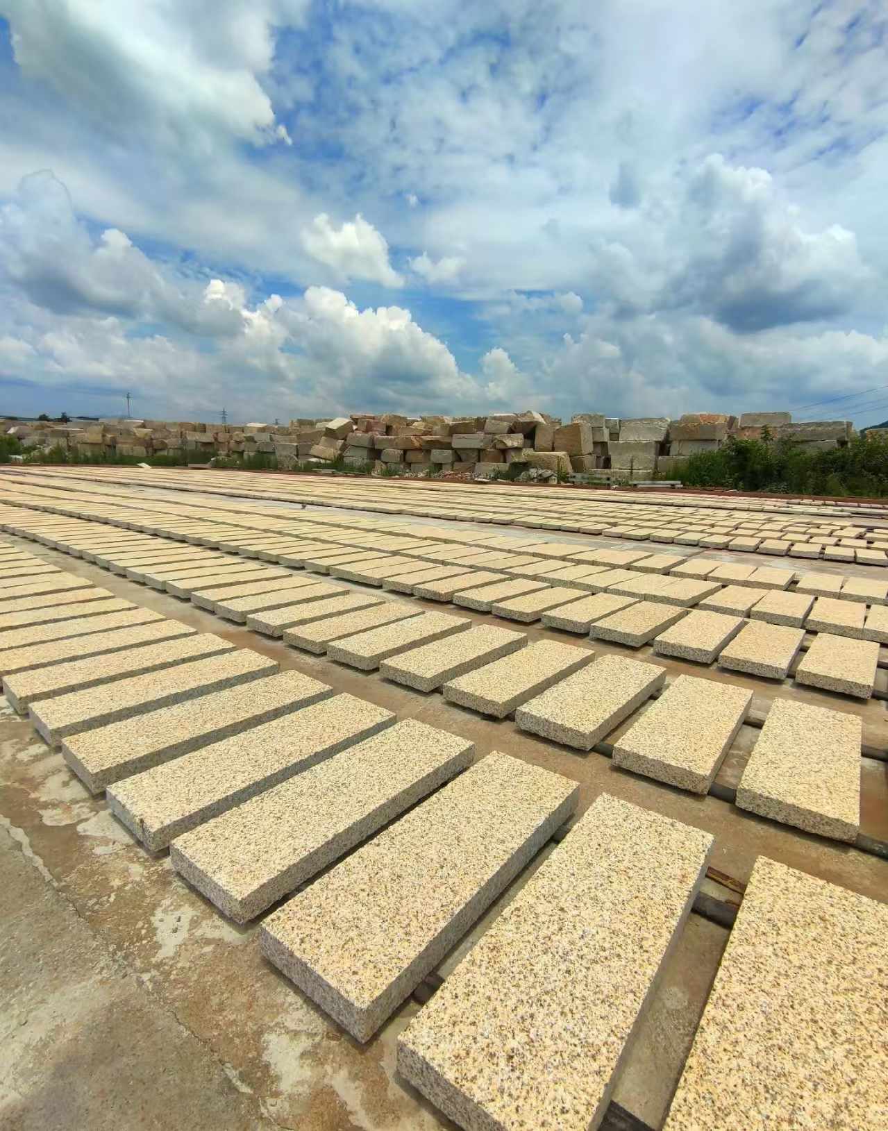 南平 黄金麻荔枝面花岗岩石材地铺石防护中