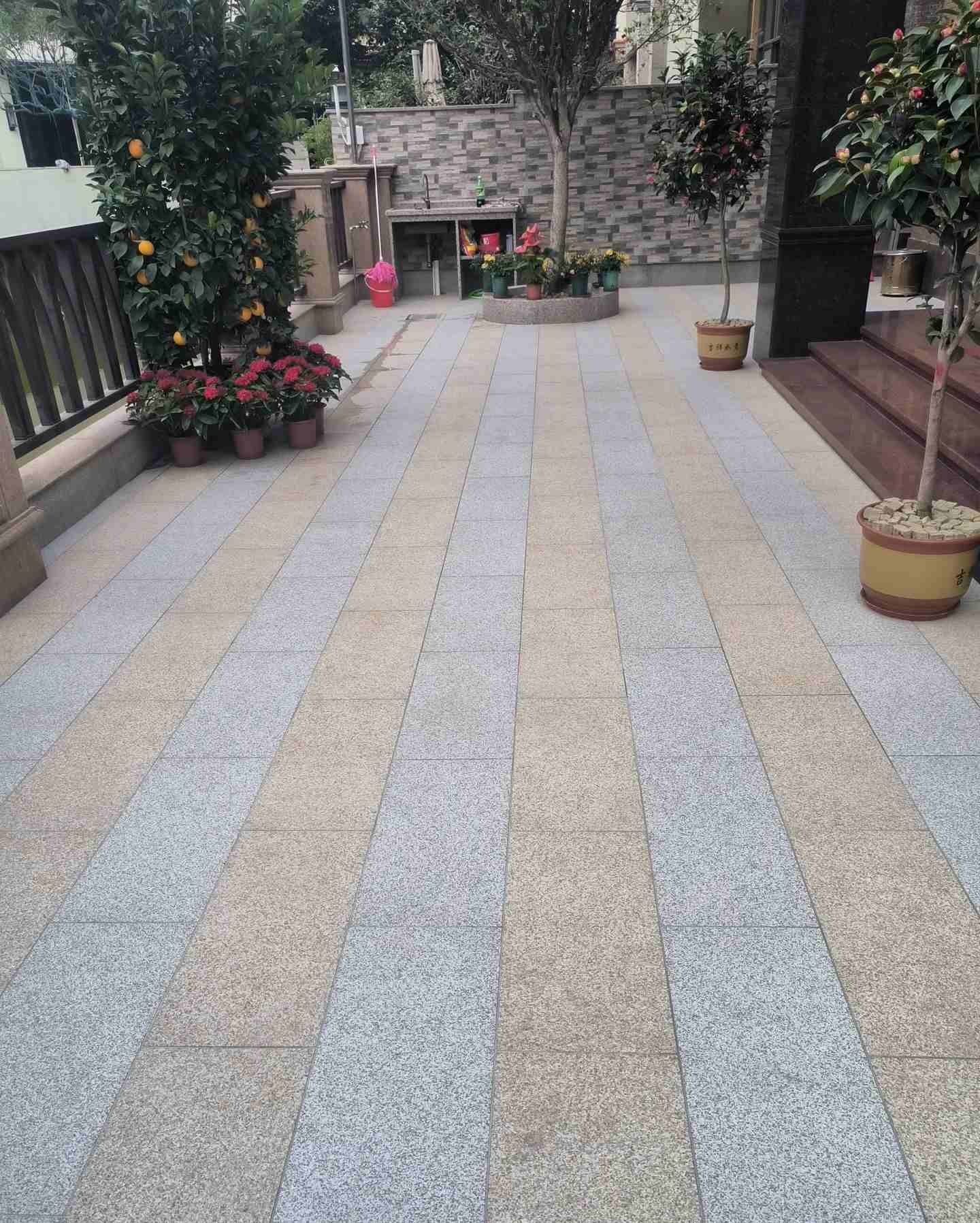 南平 黄金麻白麻荔枝面庭院铺装展示